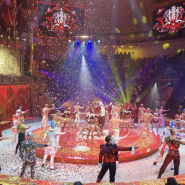 Шоу «Королевский цирк» фотографии