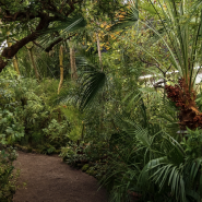 День всех влюбленных в Ботаническом саду Петра Великого 2026 фотографии