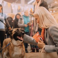 Фестиваль «WOOF» фотографии