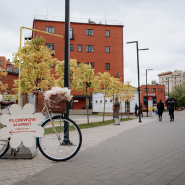 Летняя ярмарка Flowwow Market 2025 фотографии