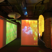 Выставка «Синтез» в галерее цифрового искусства «Цифергауз» фотографии