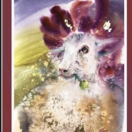 Выставка из акварельных коллекций «Благородные звезды» фотографии