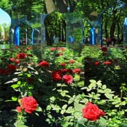 Фестиваль «Императорские сады России» 2017 фотографии