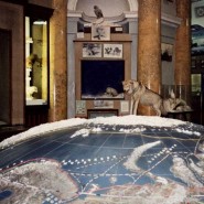 Музей Арктики и Антарктики фотографии