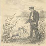 Выставка «В нашей квартире собаки и кот: питомцы С.М. Кирова» фотографии