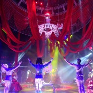 Шоу «Принц цирка» фотографии