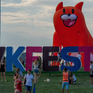 Онлайн-фестиваль VK Fest-2020 фотографии