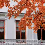 Центральный Парк культуры и отдыха имени С. М. Кирова фотографии