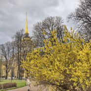 Интересные события на майские праздники в Санкт-Петербурге 2026 фотографии