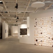 Выставка «Современный Катар: искусство и фотография» фотографии