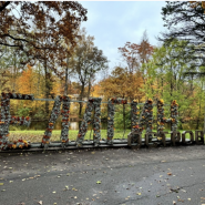 Центральный Парк культуры и отдыха имени С. М. Кирова фотографии