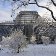 Новогодние выходные в Ботаническом саду 2021 фотографии