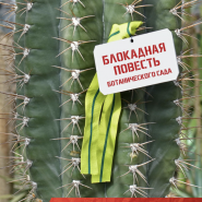 Прогулки по оранжерейным маршрутам в Ботаническом саду фотографии