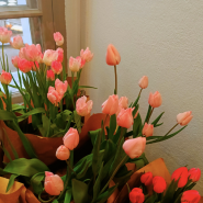 Фестиваль «Весна на высоте» 2026 фотографии