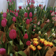 Фестиваль «Весна на высоте» 2026 фотографии