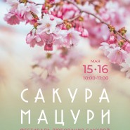 Фестиваль «Сакура мацури» 2021 фотографии