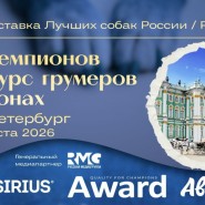 Выставка «Лучшие собаки России. Шоу чемпионов» фотографии