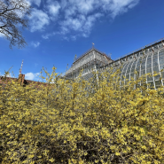 Фестиваль «Тайны Весеннего королевства-2026»  фотографии