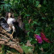 Музей криптозоологии «Бестиарий» фотографии