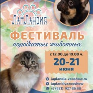 Фестиваль породистых животных «ЛапЛандия» в ТРК «Парк Молл» фотографии