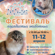 Фестиваль породистых животных «ЛапЛандия» в ТРК «Питерлэнд» фотографии