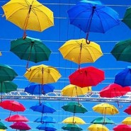 Аллея парящих зонтиков 2017 фотографии