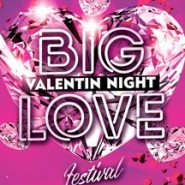 Фестиваль «BIG LOVE NIGHT» фотографии