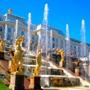 Пуск фонтанов в музее-заповеднике «Петергоф» 2020 фотографии