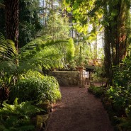 Осенние каникулы в Ботаническом саду 2023 фотографии