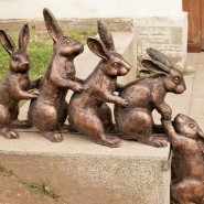 Музей истории Санкт-Петербурга разыскивает зайцев фотографии