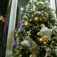 Новогодний Петербург и самые красивые ёлки города 2026 фотографии