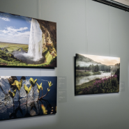 Музей современного искусства Эрарта фотографии