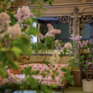 В музее-заповеднике «Царское Село» в январе зацвели сирень и миндаль фотографии