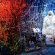 Музей криптозоологии «Бестиарий» фотографии