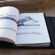 Выставка «Книга как объект» фотографии