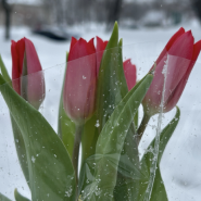 Подборка интересных событий в Санкт-Петербурге в выходные 14 и 15 марта 2026 фотографии