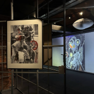 Новая персональная выставка Павла Кира фотографии