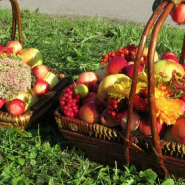 Семейный праздник «Яблочный полдень» в Царском Селе фотографии