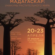 Выставка «Мадагаскар: уникумы растительного мира» фотографии
