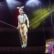 Выставка «Тот самый цирк» фотографии