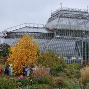 Осенние каникулы в Ботаническом саду Петра Великого 2022 фотографии