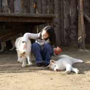 Знакомство с Карелией: хаски, олени, водопады и мраморный каньон Рускеала фотографии