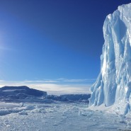 Выставка «Антарктида: два века исследования» фотографии