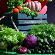 Предновогодние ярмарки фермерской продукции фотографии