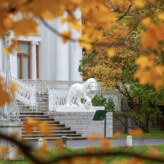 Центральный Парк культуры и отдыха имени С. М. Кирова фотографии