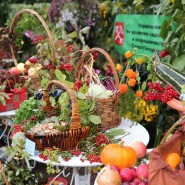 Праздник закрытия фонтанов и сбора урожая в Летнем саду 2016 фотографии