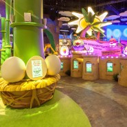 Успейте посетить Парк развлечений Angry Birds Activity Park! фотографии