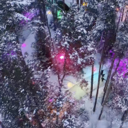 Открытие «Лесного катка» в Охта парке сезон 2025/26 фотографии