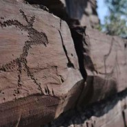 Выставка-исследование о наскальном искусстве «Триллион секунд» фотографии