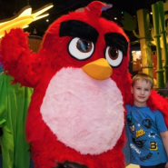 День Семьи в Angry Birds Activity Park 2022 фотографии